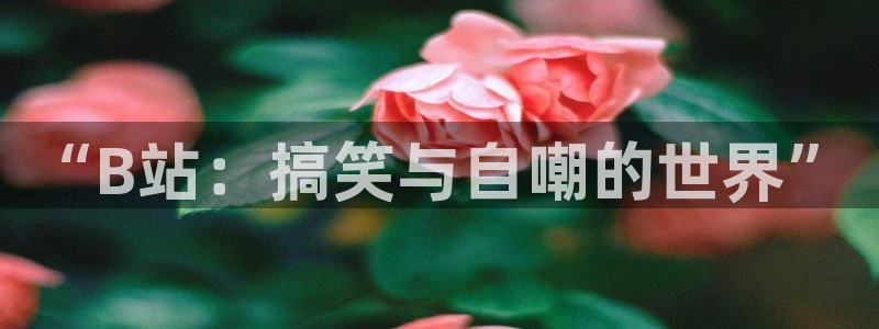 奇亿娱乐注册：“B站：搞笑与自嘲的世界”