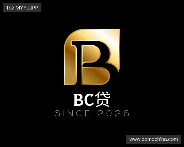 认识bc贷